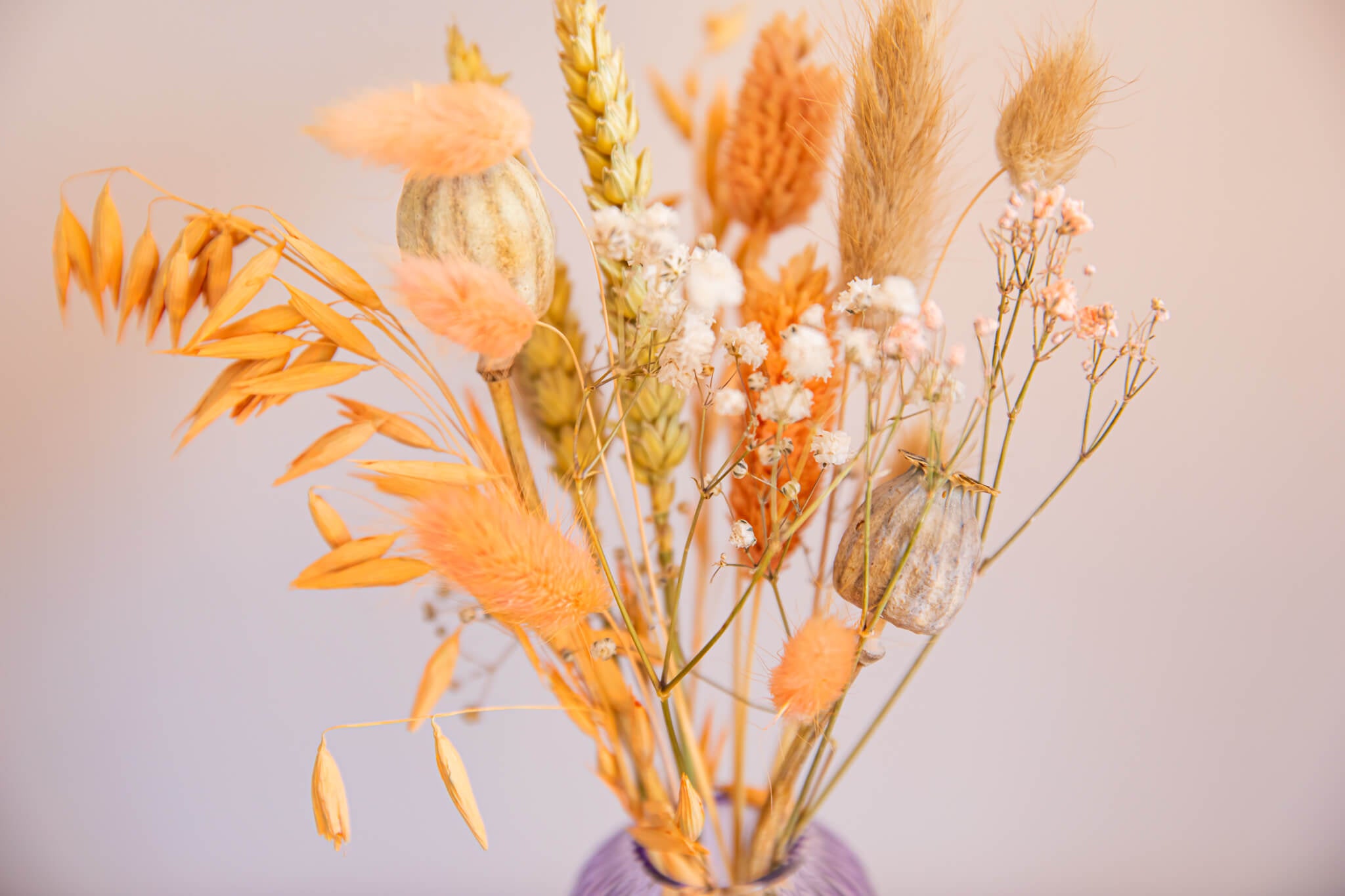 Lila vaasje met pastel tinten droogbloemen