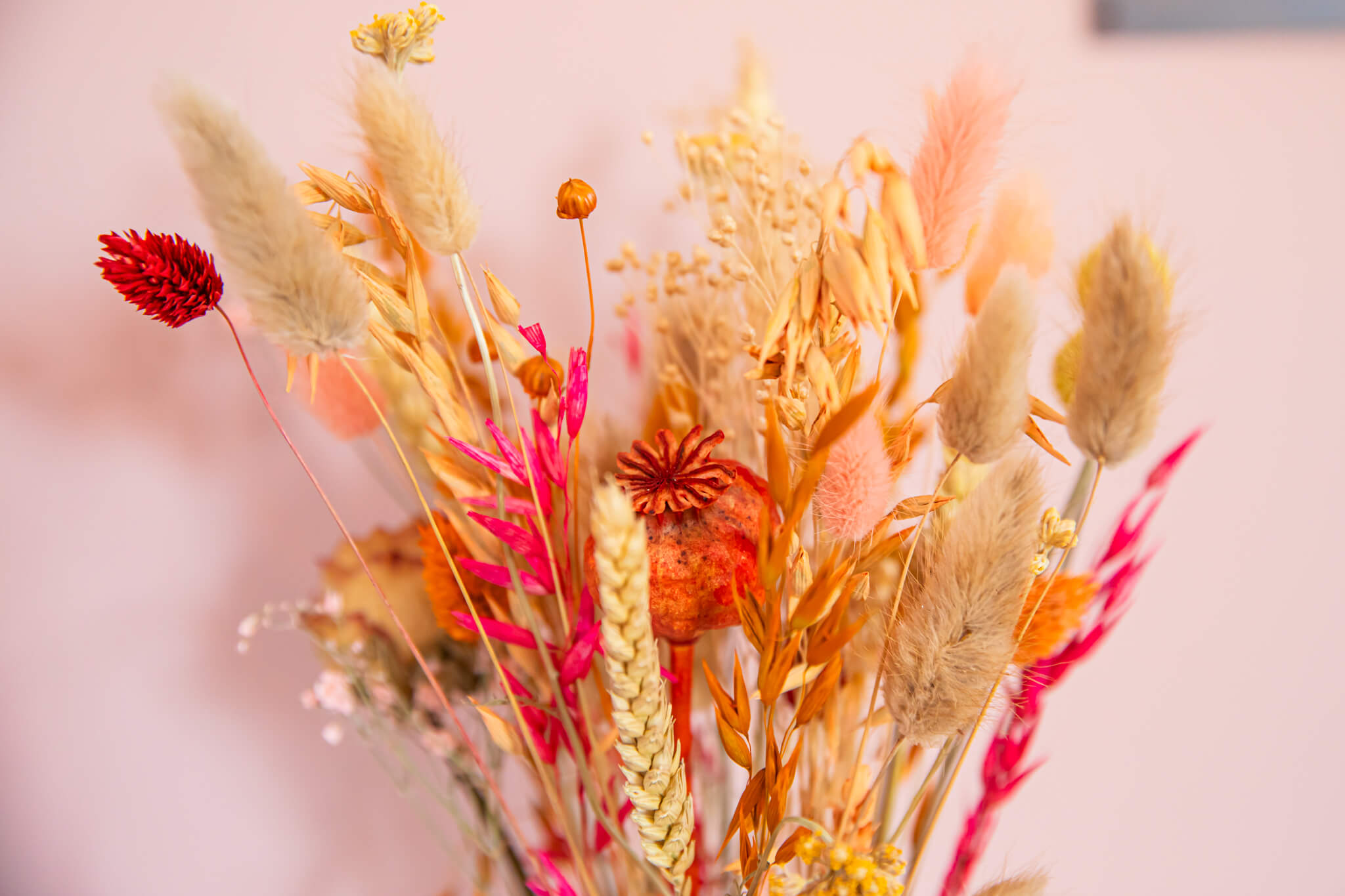 Tulpenvaas met droogbloemen