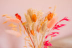 Tulpenvaas met droogbloemen klein