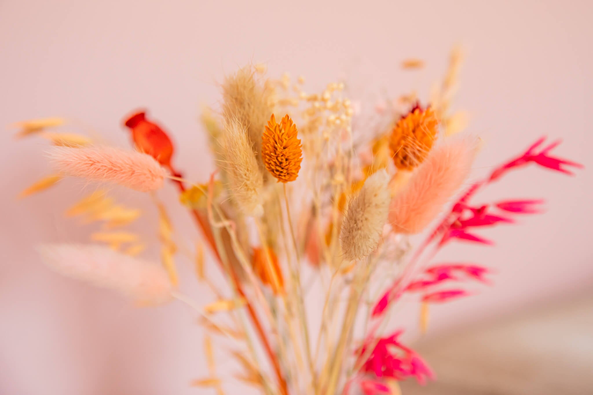 Tulpenvaas met droogbloemen klein